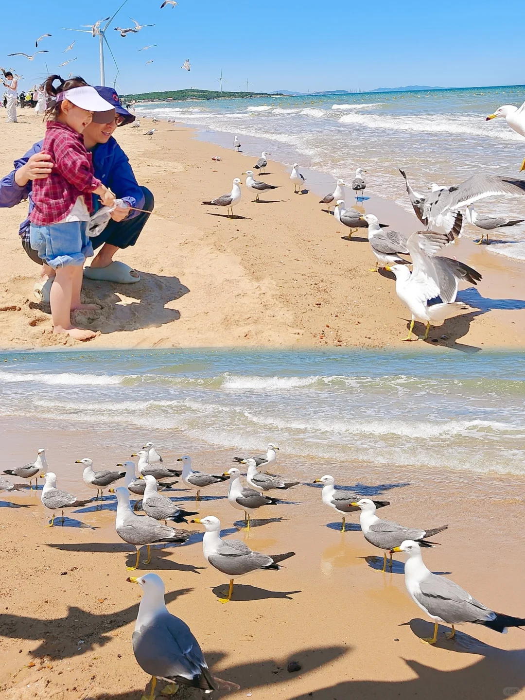 山东威海·亲子游 四天三晚(上篇)