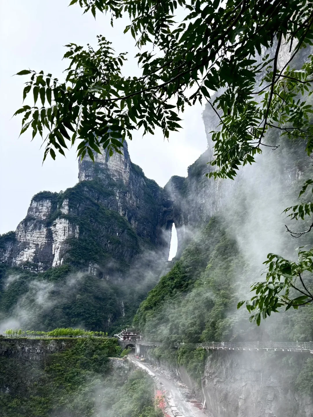 ✨张家界 | 一场奇幻的仙境之旅✨