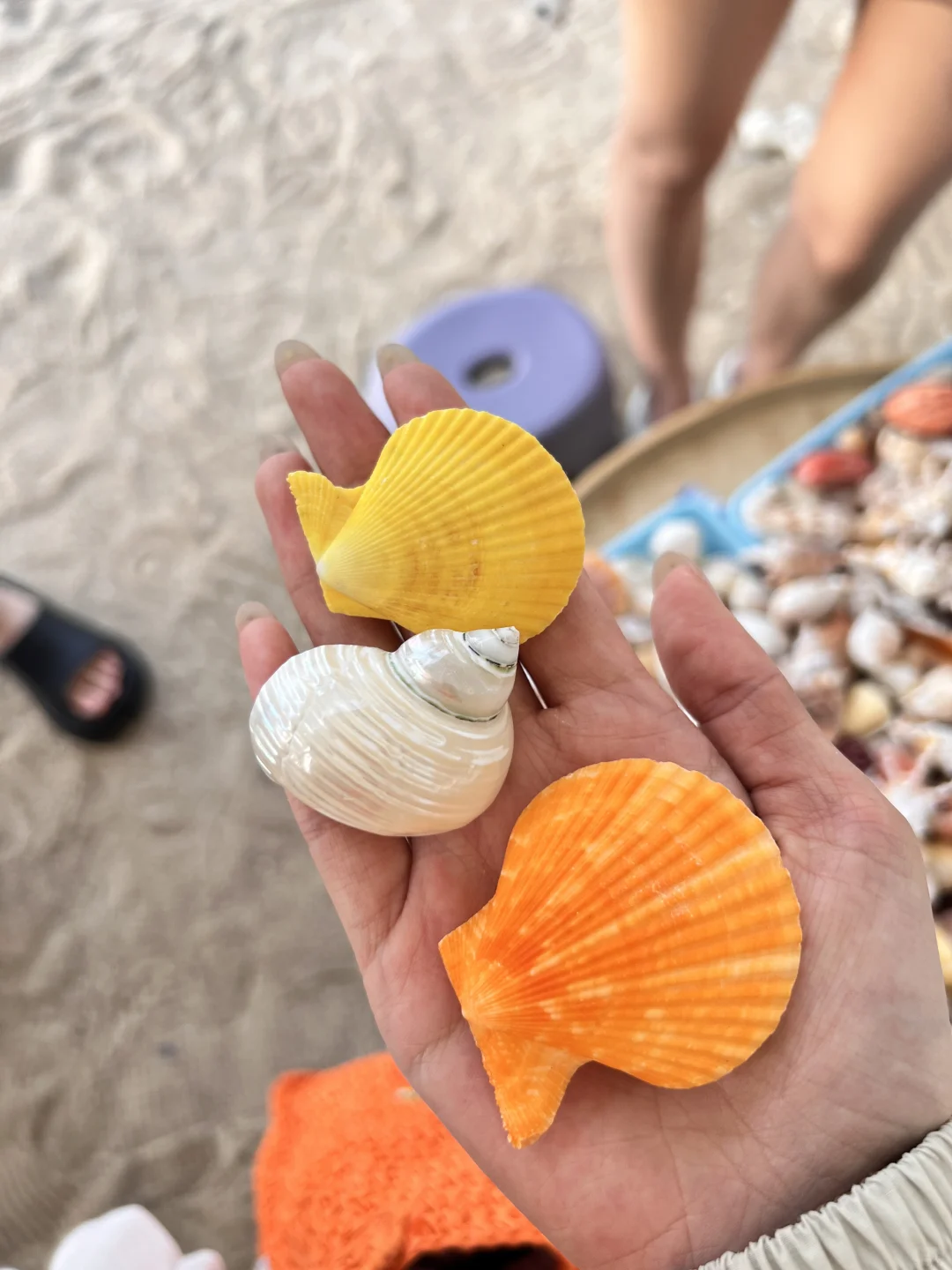 来三亚一定要去这🐚玻璃海好美‧₊˚⋆♡̷☆₊