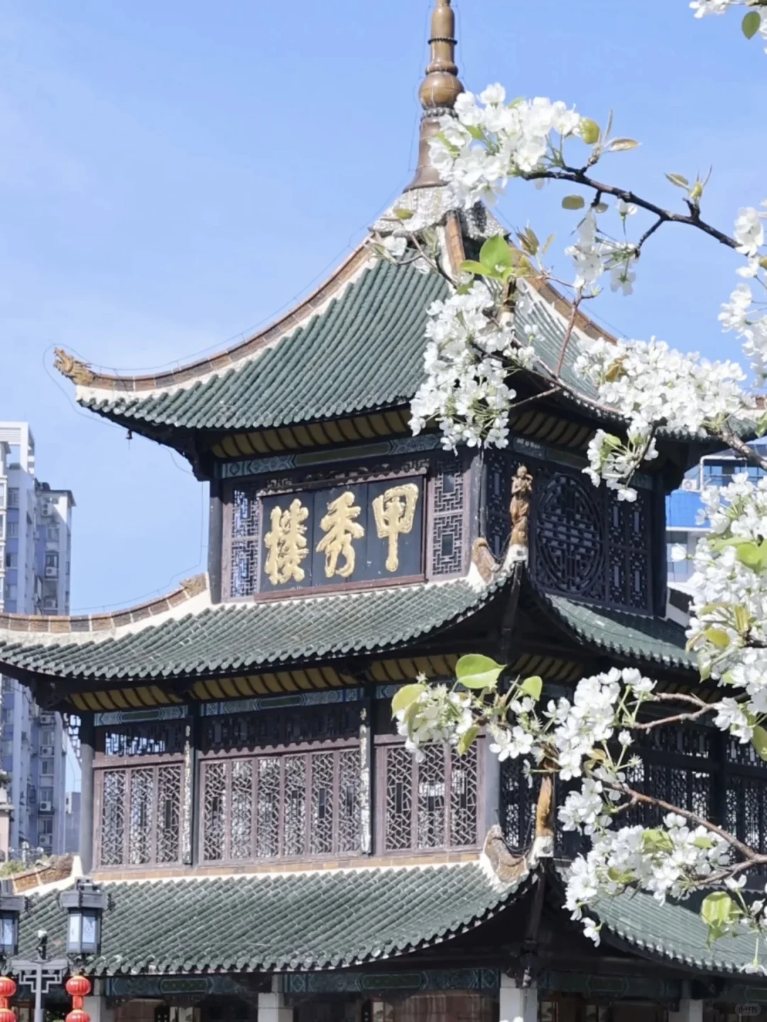 6.25｜贵阳回来了，能帮一个是一个😭