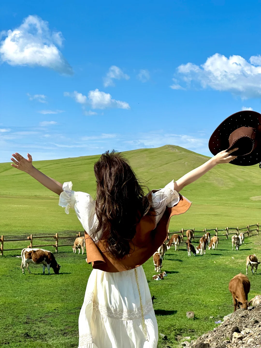 不回去了,我决定留在草原放🐑了…