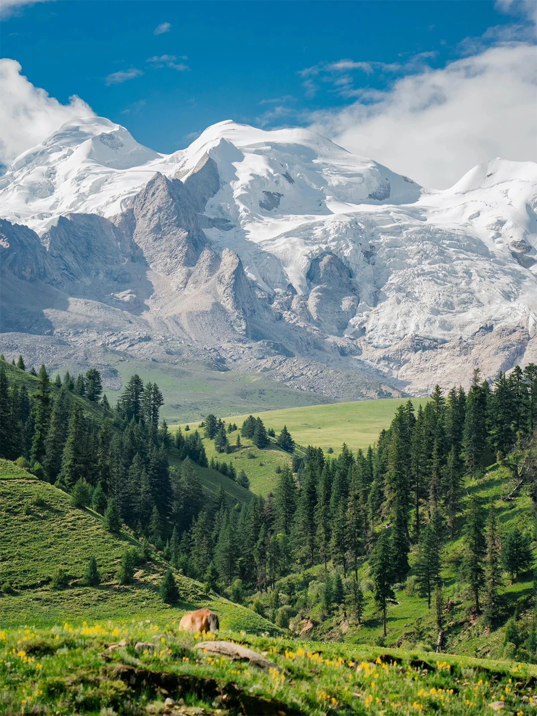 6.20📍格聂南线已回，这不比瑞士还美