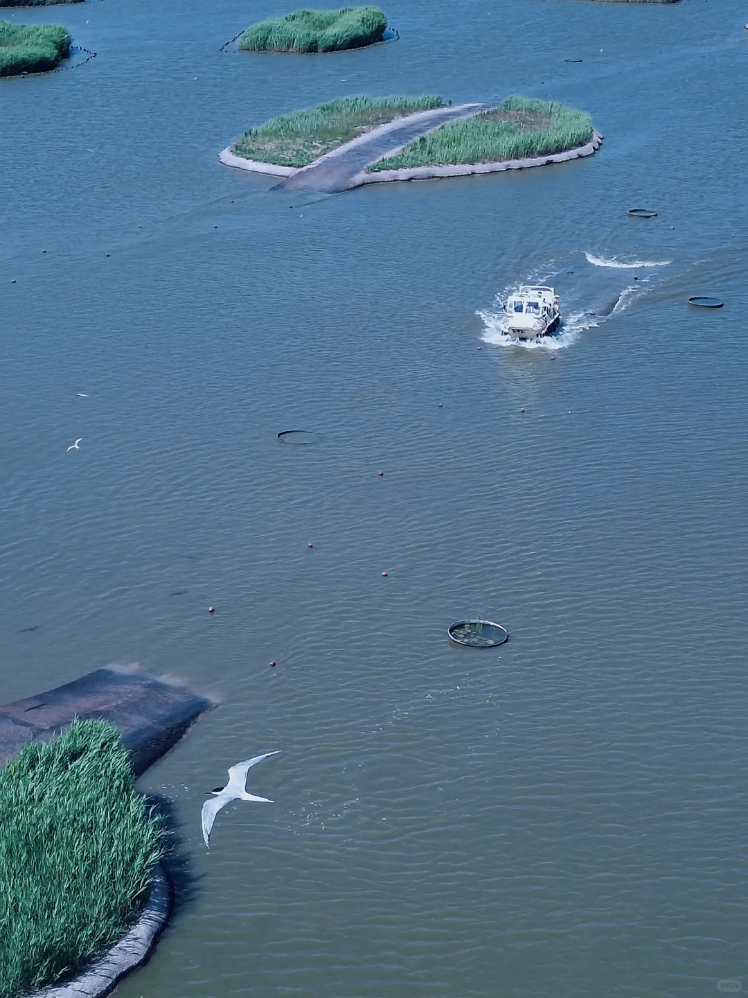 这么近，那么美！真没出国，就在河北❗️