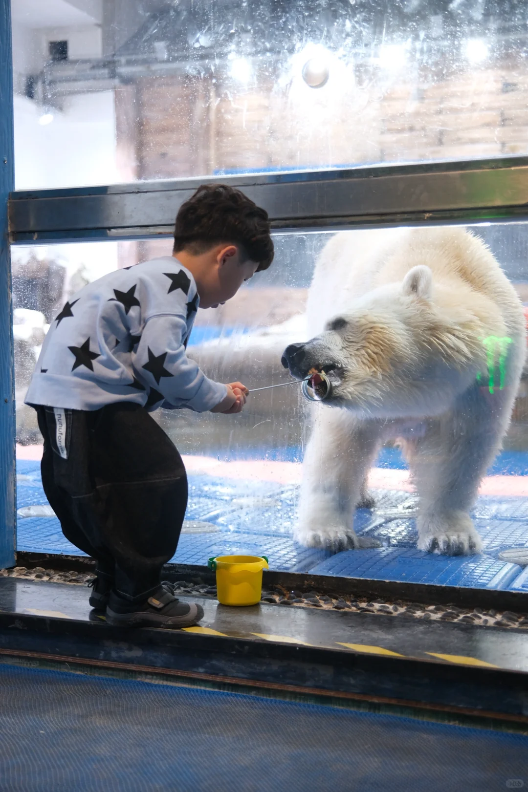 人生建议：带娃去陵水，一定要暑假去！！