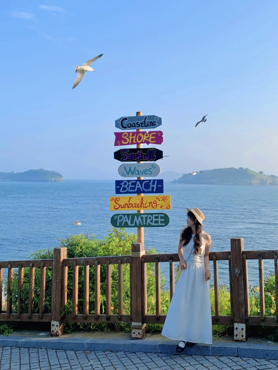 Live图！现在夏天的大连简直就是人间理想！🌊