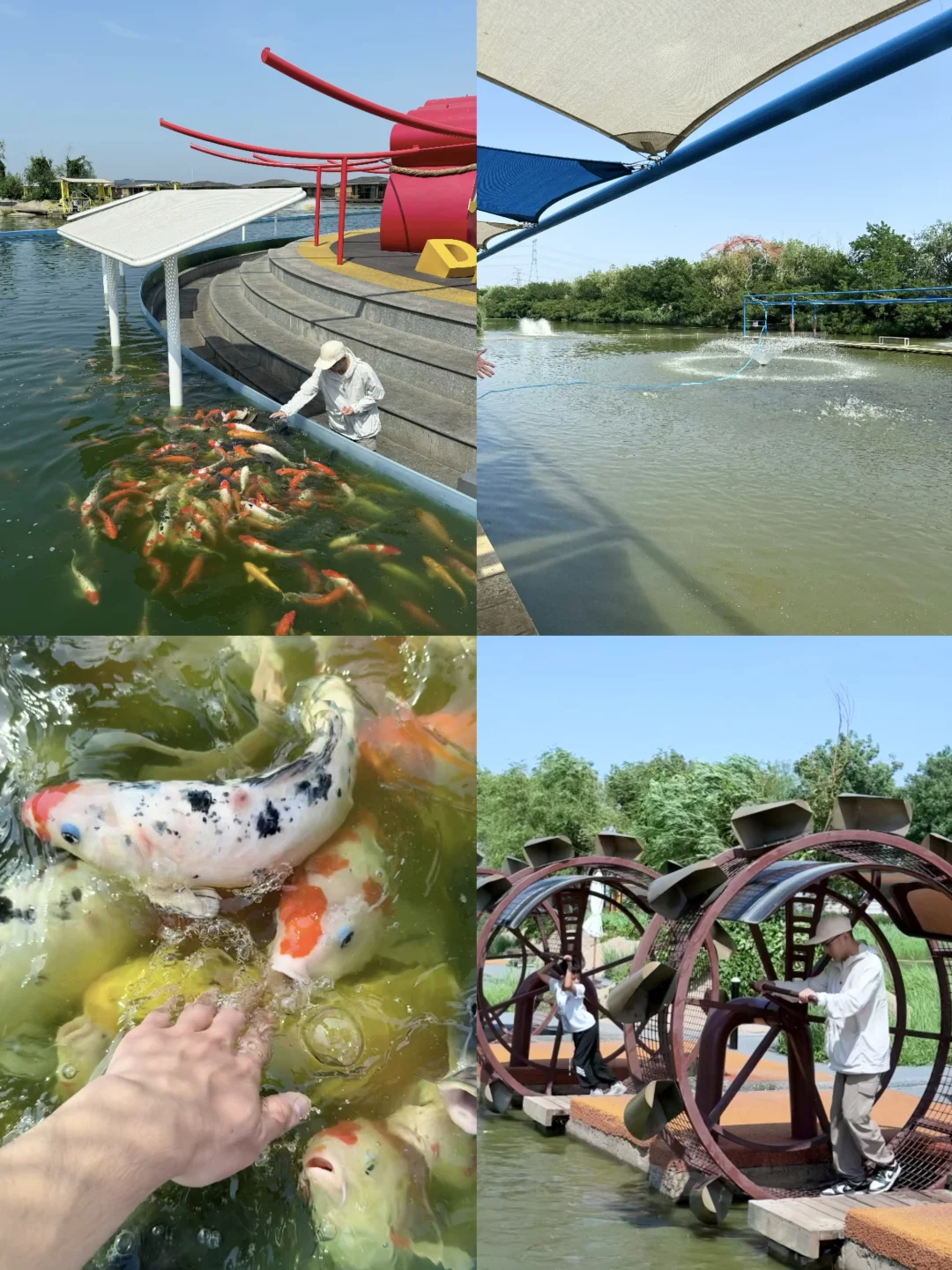 这么近，那么美！真没出国，就在河北❗️