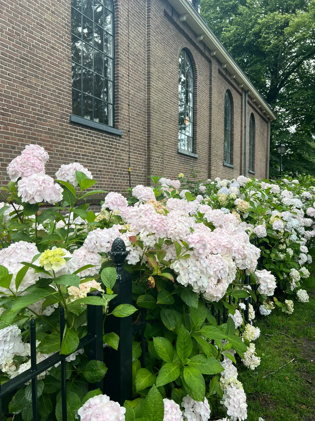 感觉自己走进了画里🖼️