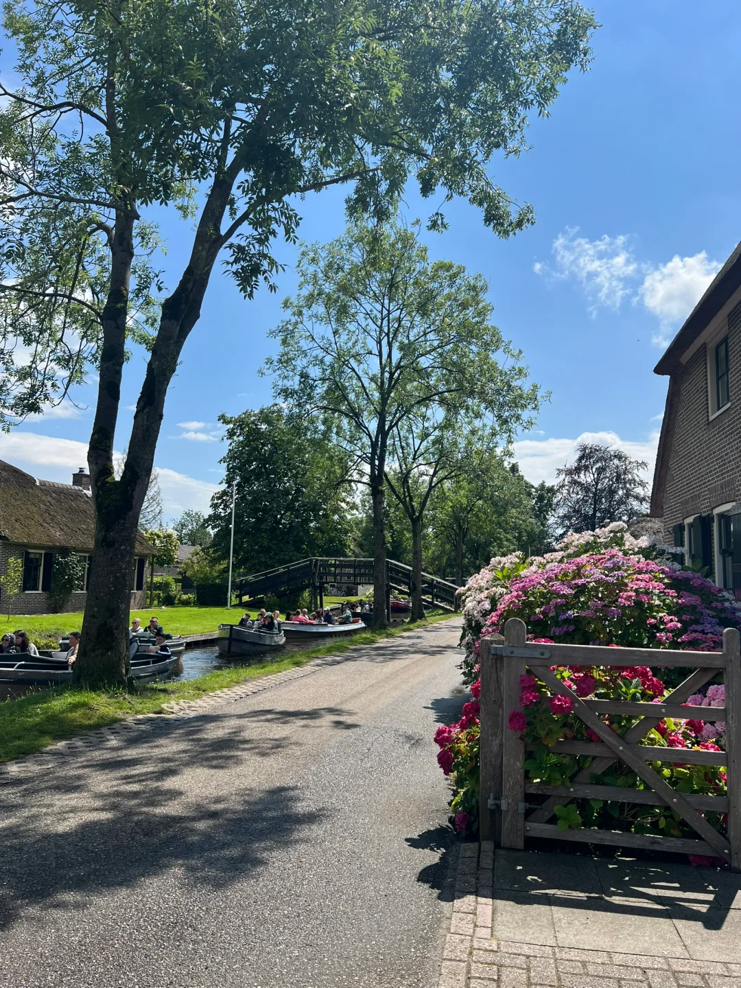 感觉自己走进了画里🖼️