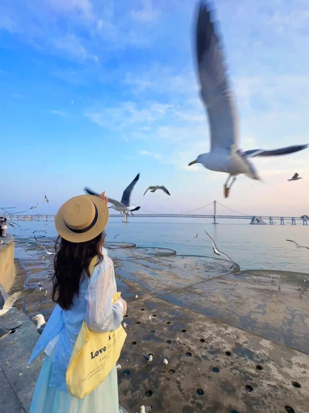 Live图！现在夏天的大连简直就是人间理想！🌊