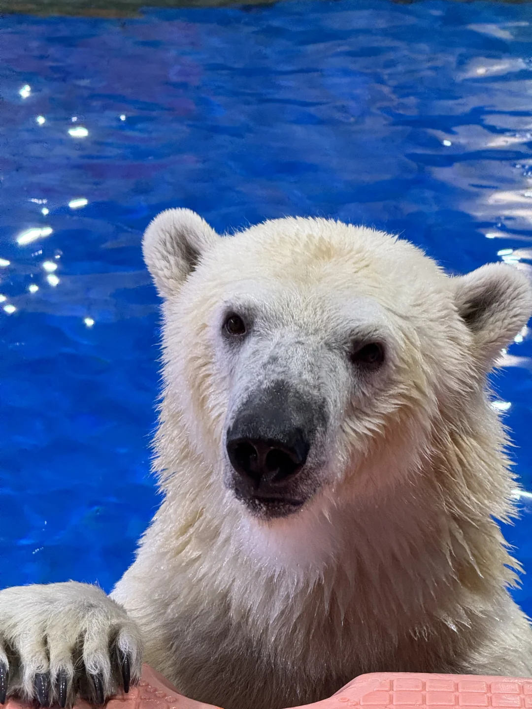 人生建议：带娃去陵水，一定要暑假去！！