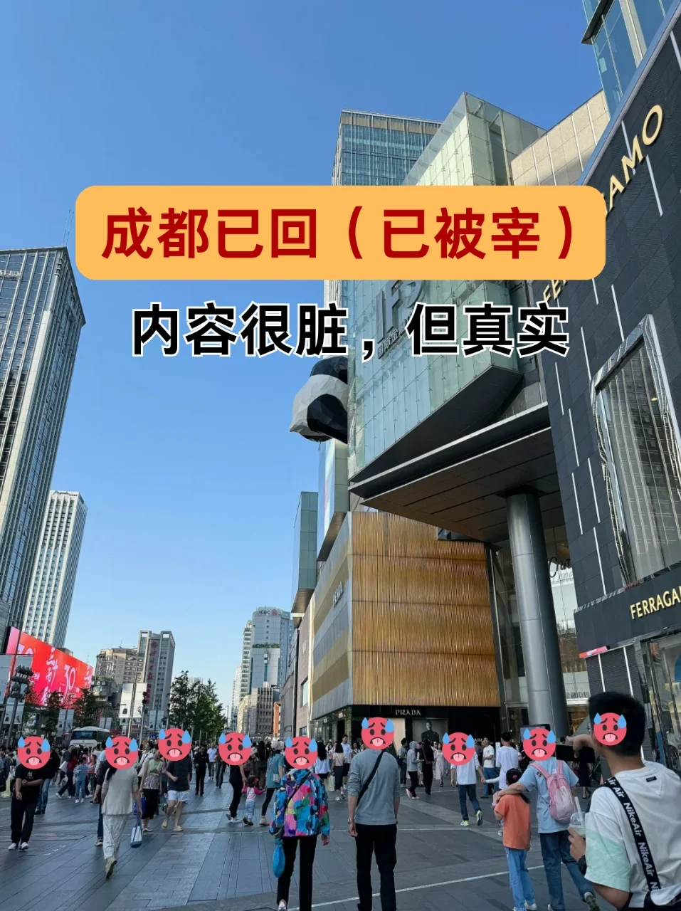 成都已回（已被宰）内容很脏，但很真实！