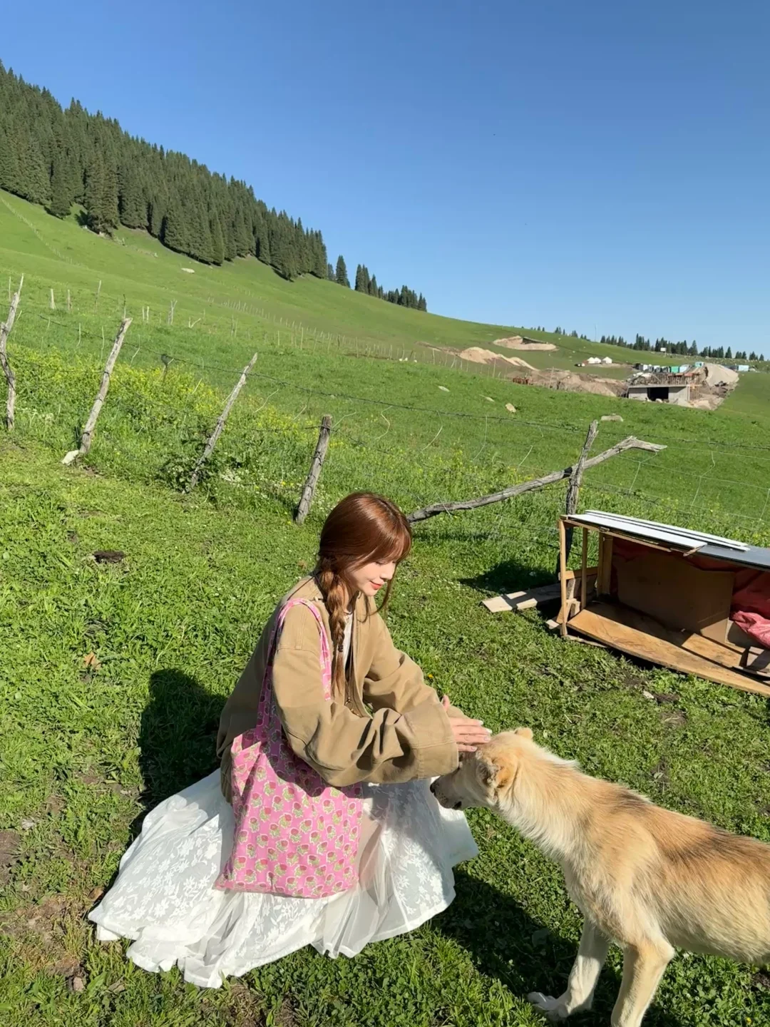 听到了旷野的风🐎