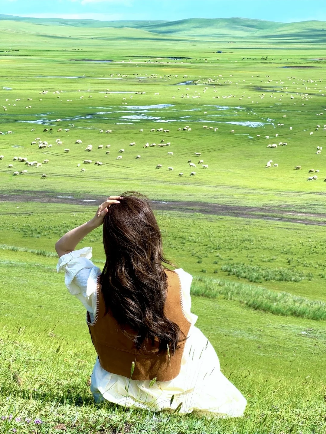 不回去了,我决定留在草原放🐑了…