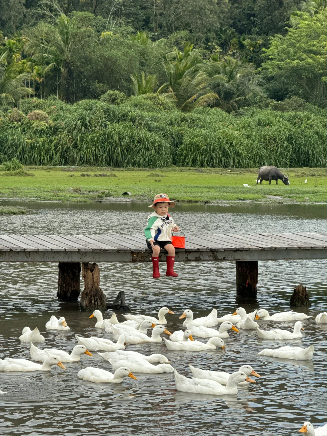 人生建议：带娃去陵水，一定要暑假去！！