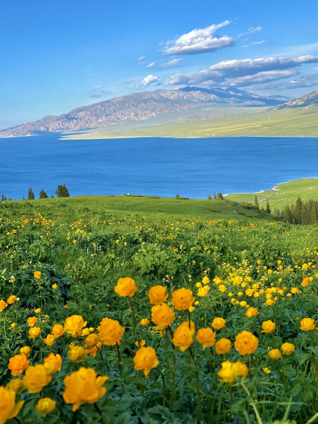 5.28实拍live🦢夏天的赛里木湖美到封神！！！