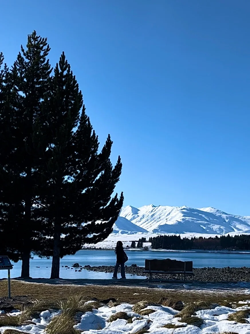 🇳🇿 新西兰8天7晚行程分享