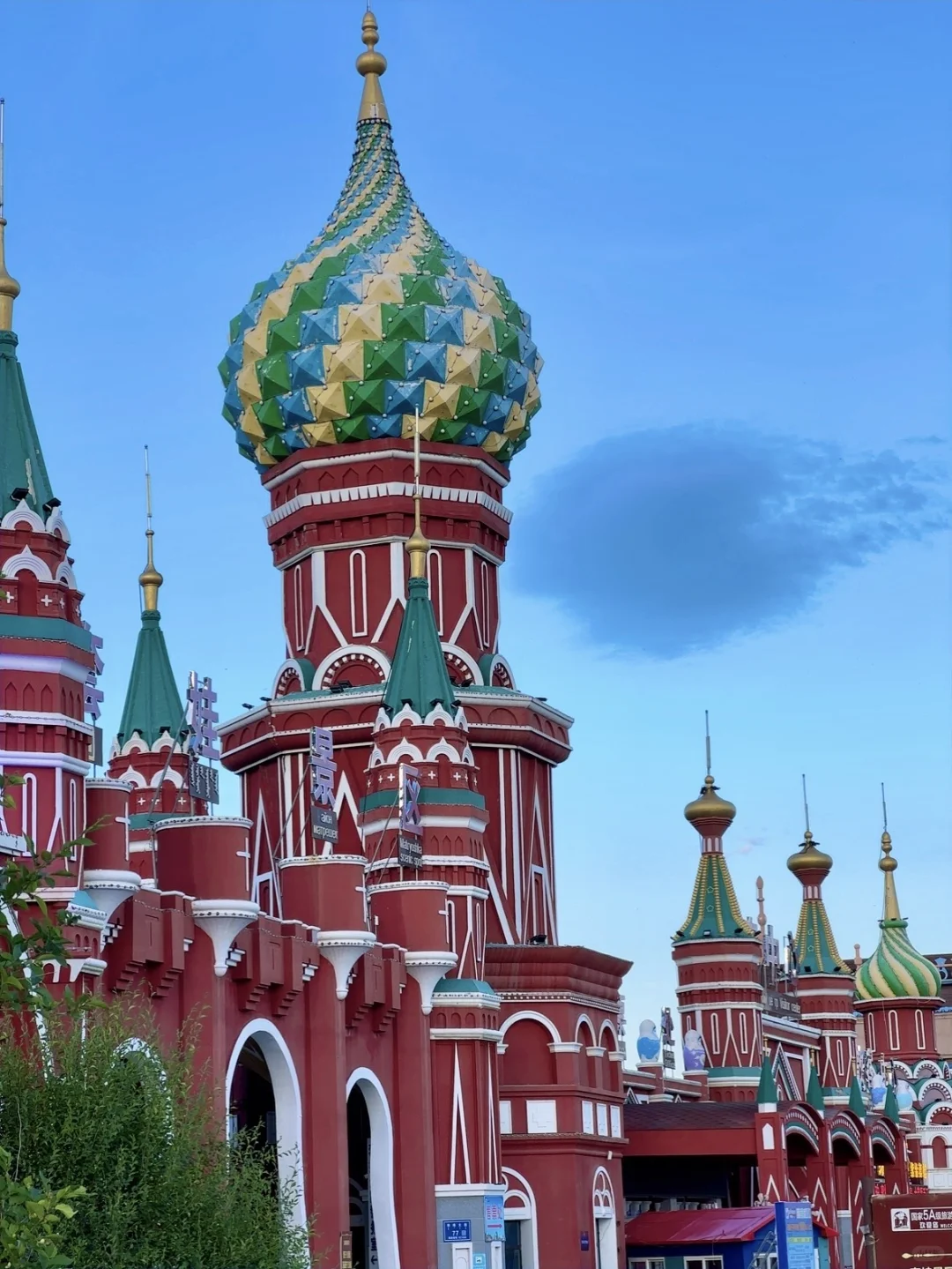 不回去了,我决定留在草原放🐑了…