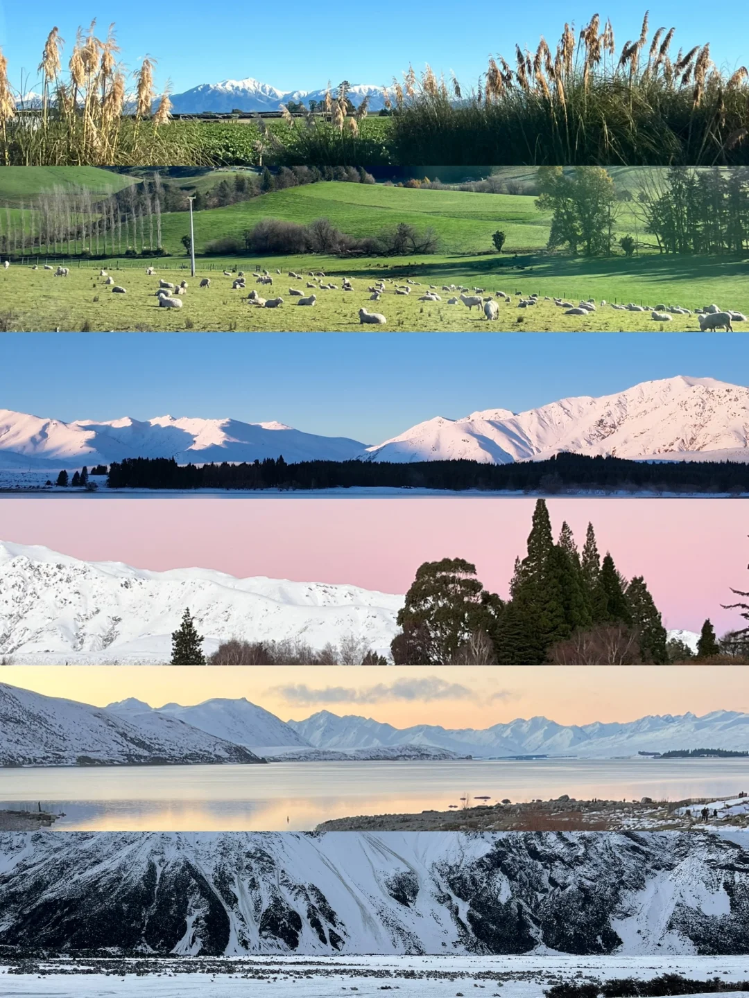 🇳🇿 新西兰8天7晚行程分享