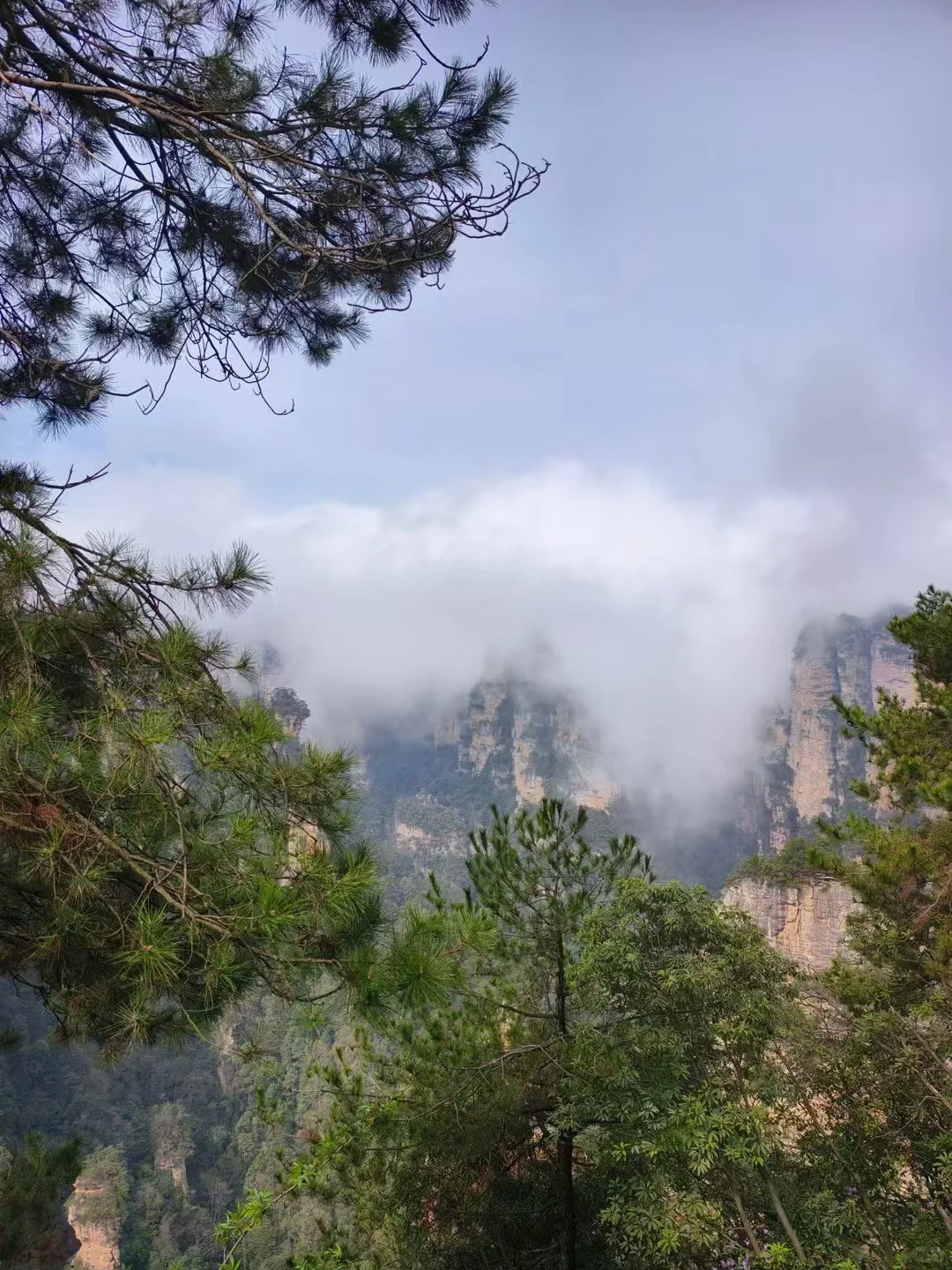 ✨张家界 | 一场奇幻的仙境之旅✨