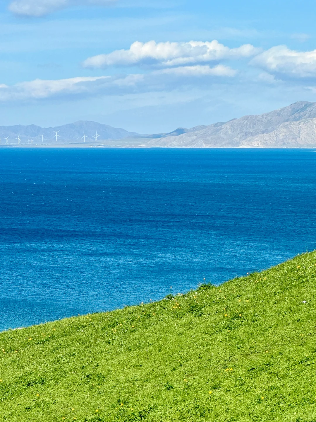 5.28实拍live🦢夏天的赛里木湖美到封神！！！