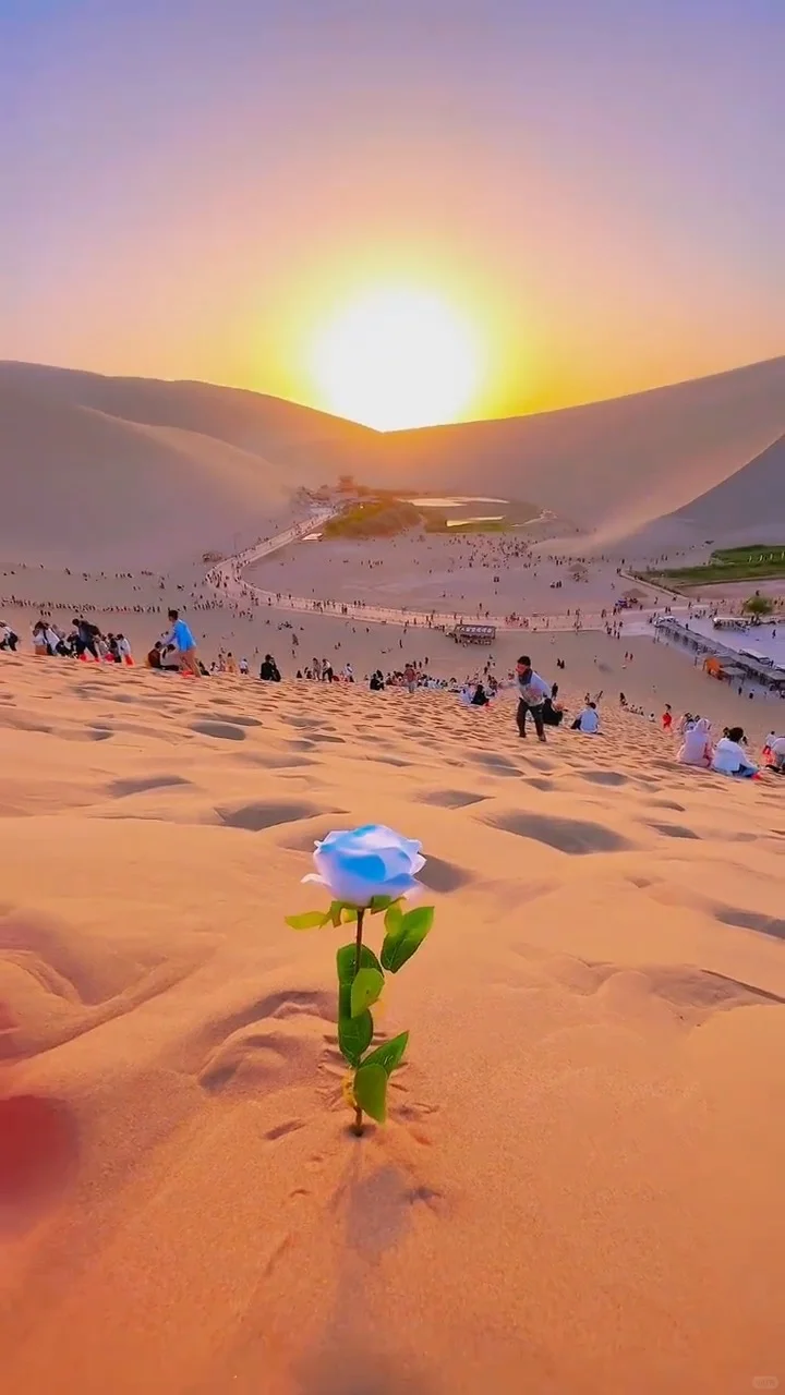 去!去的就是大西北!(已回版)