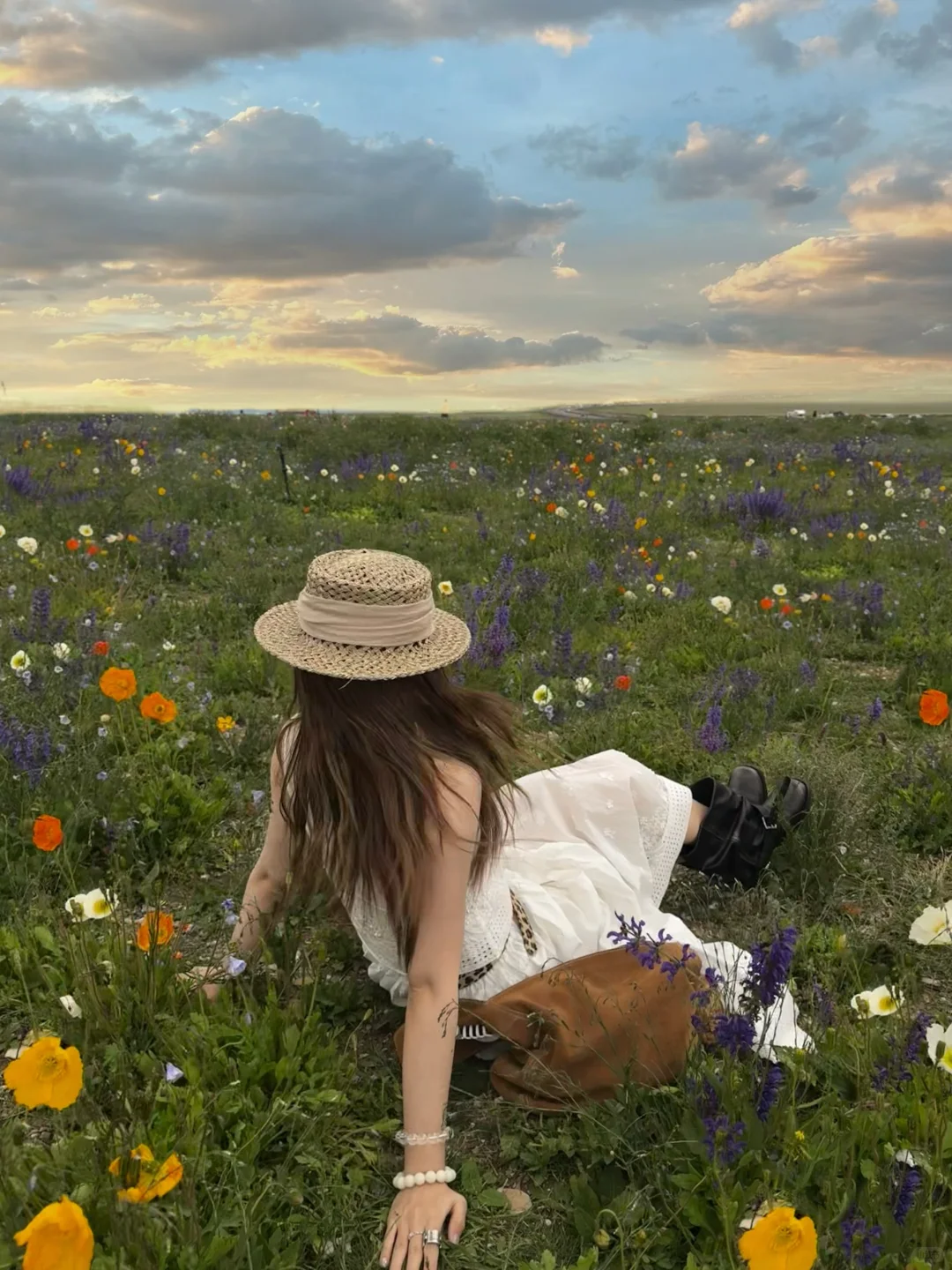 听到了旷野的风🐎