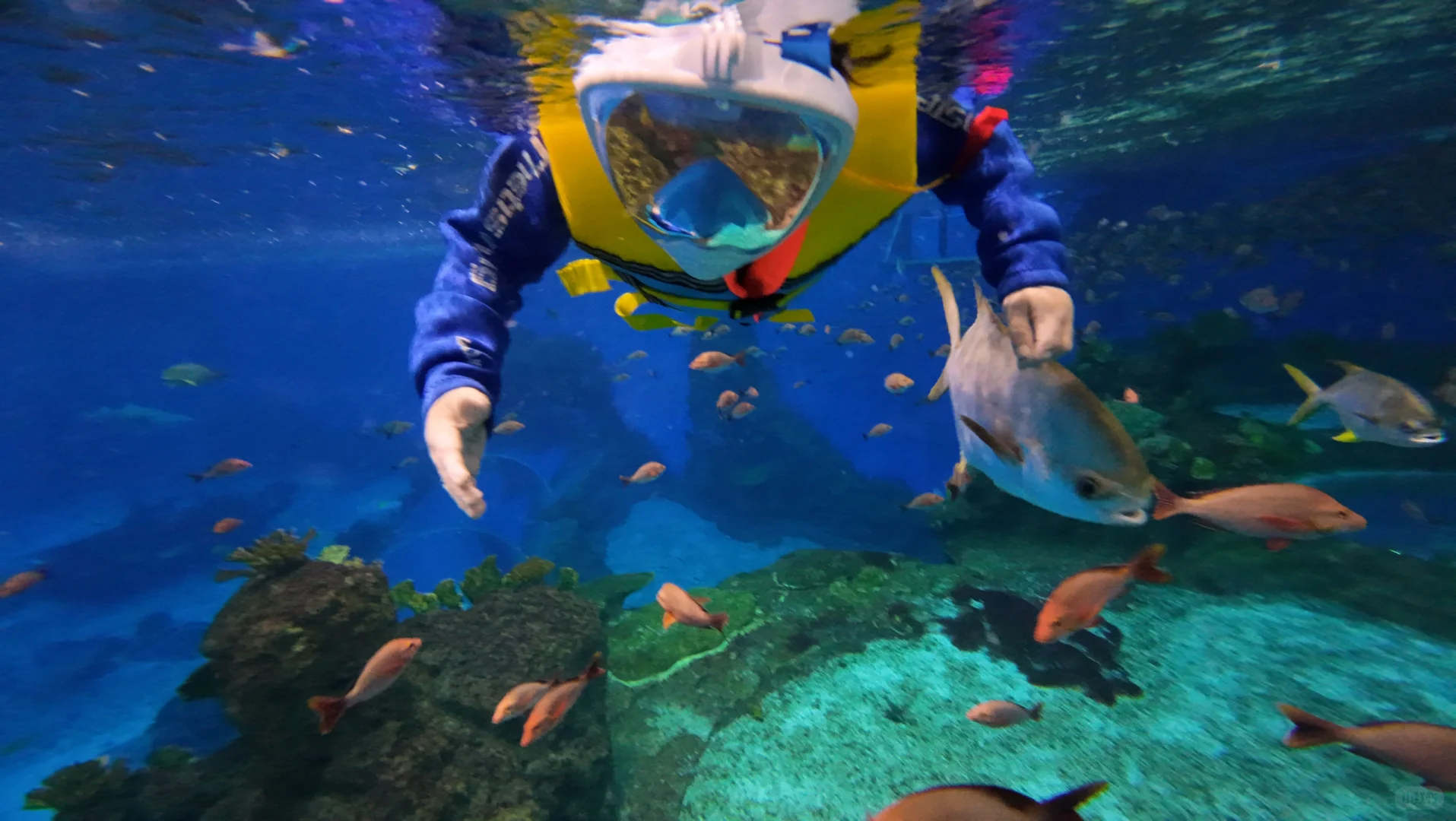 人生建议：带娃去陵水，一定要暑假去！！