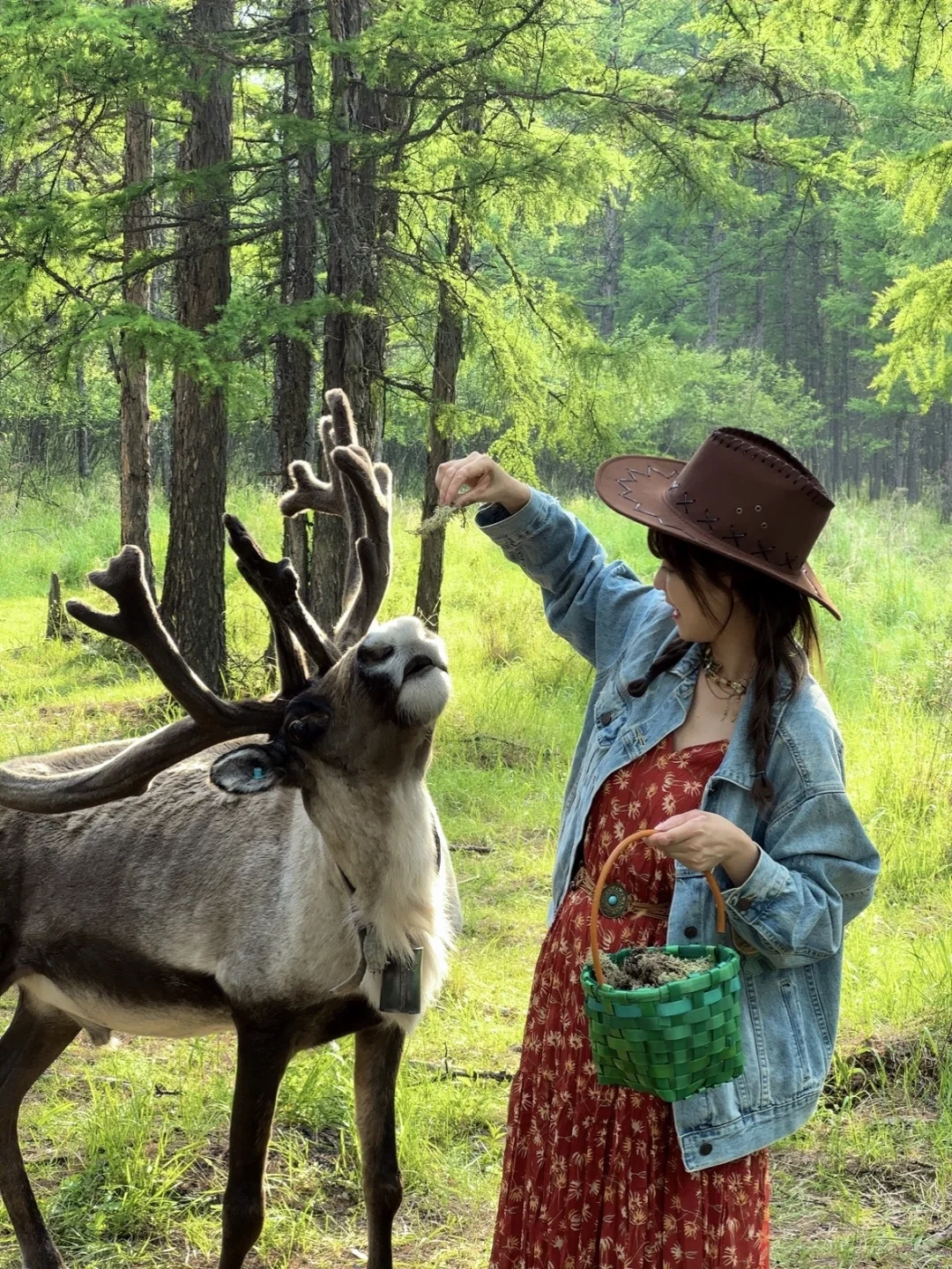 不回去了,我决定留在草原放🐑了…