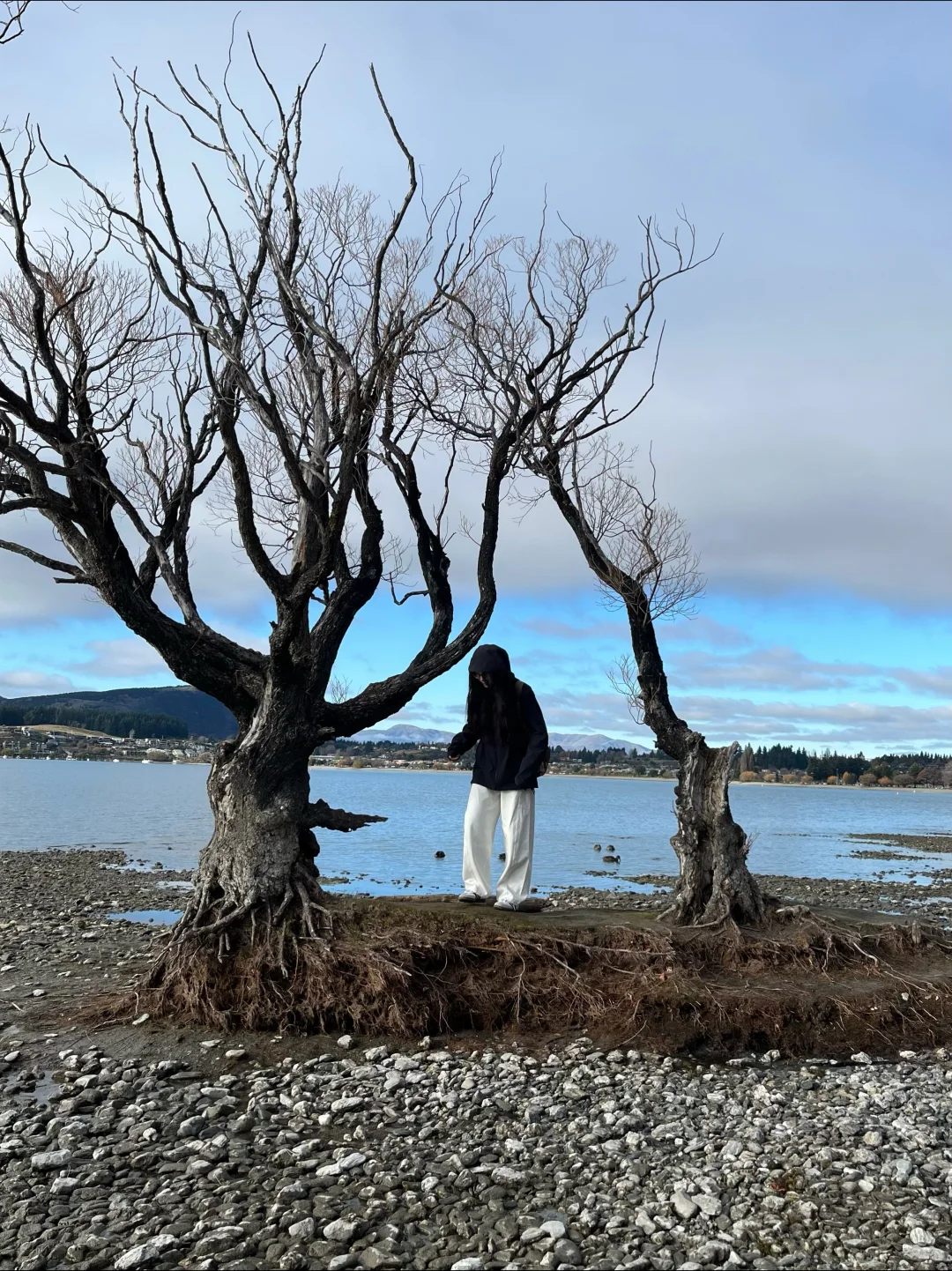 🇳🇿 新西兰8天7晚行程分享