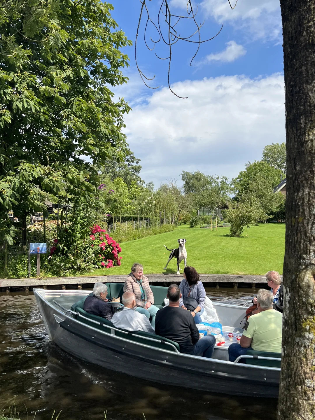 感觉自己走进了画里🖼️