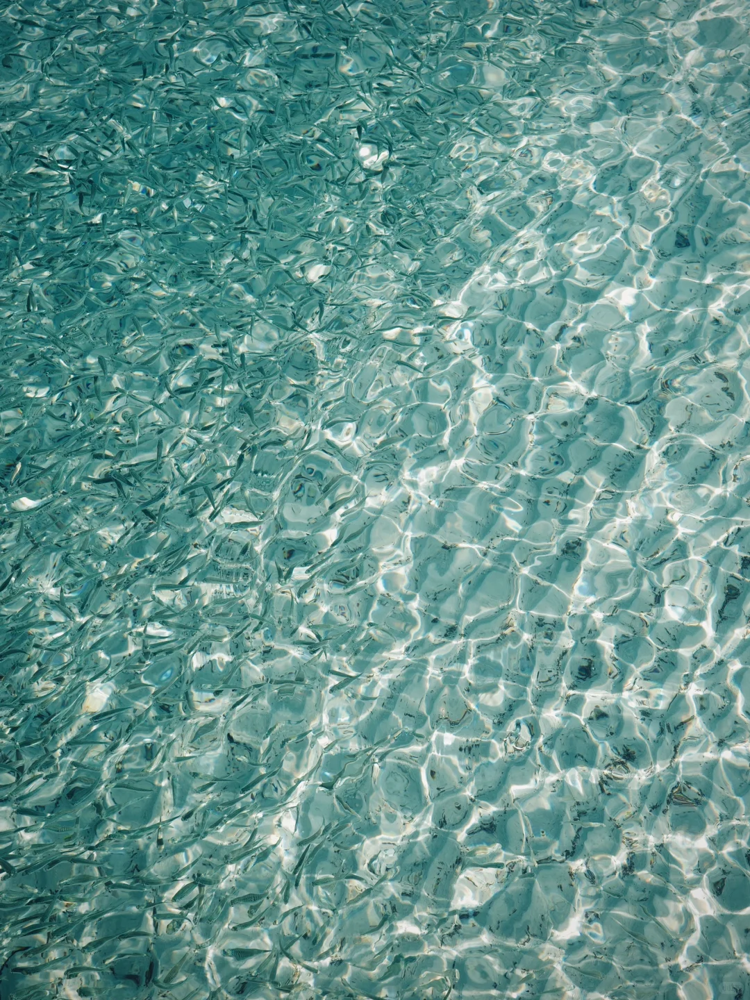 🇲🇾今年为止 去过最最喜欢的海岛🩵🫧