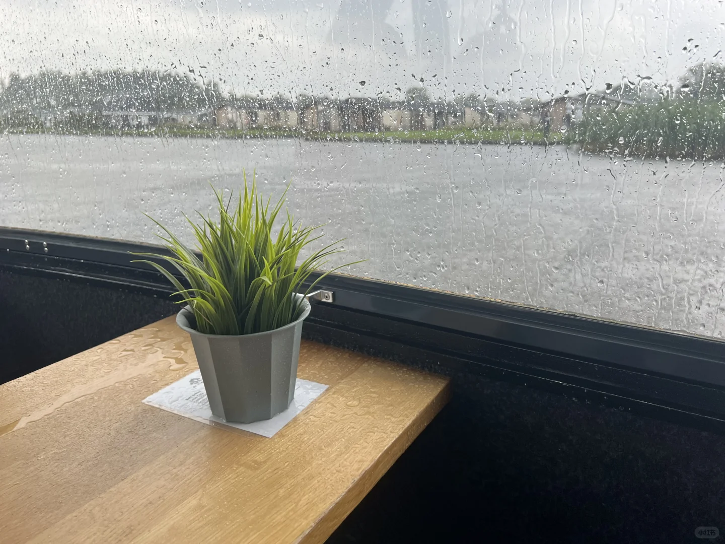 感觉自己走进了画里🖼️