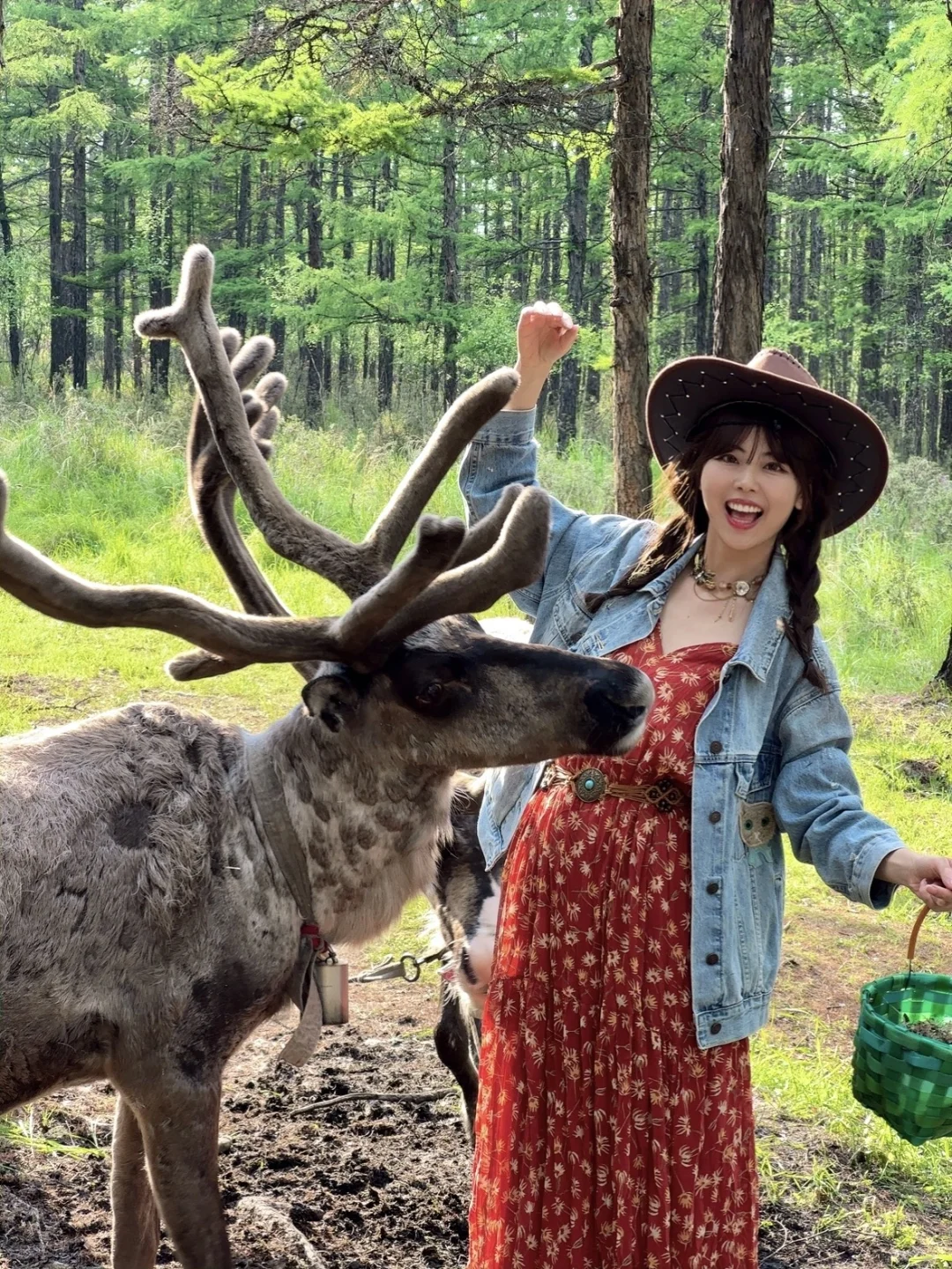 不回去了,我决定留在草原放🐑了…