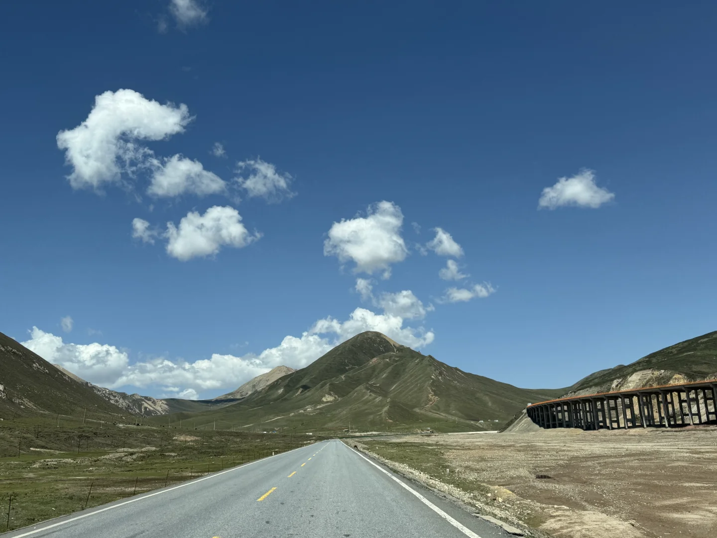 永远不会再和父母出游 孝顺是有距离的