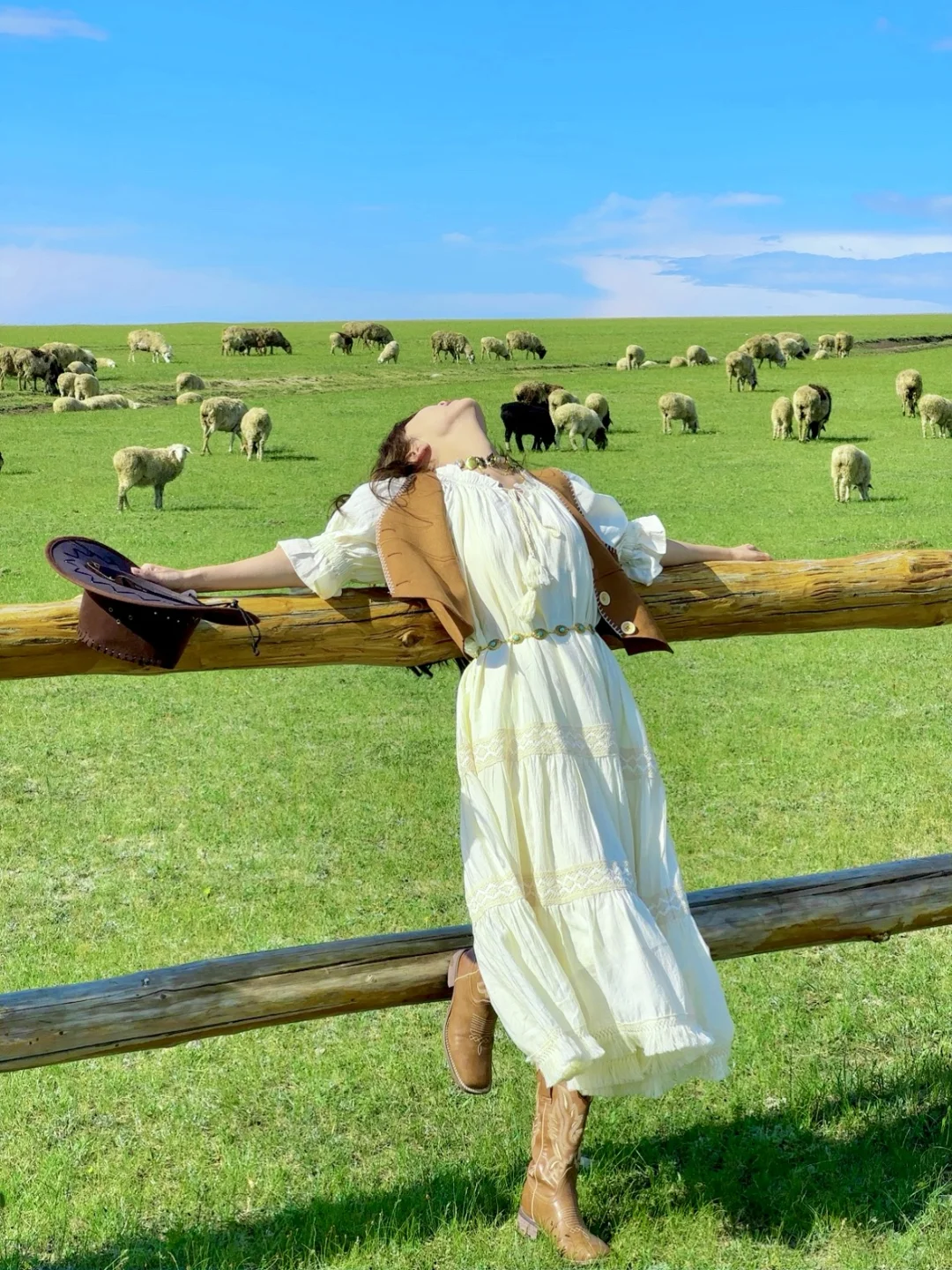 不回去了,我决定留在草原放🐑了…