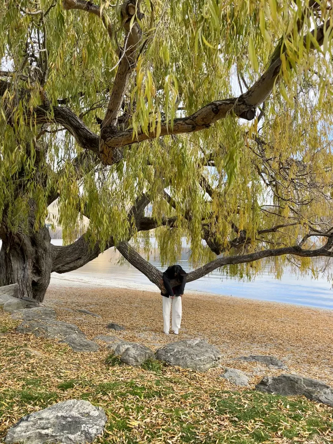 🇳🇿 新西兰8天7晚行程分享