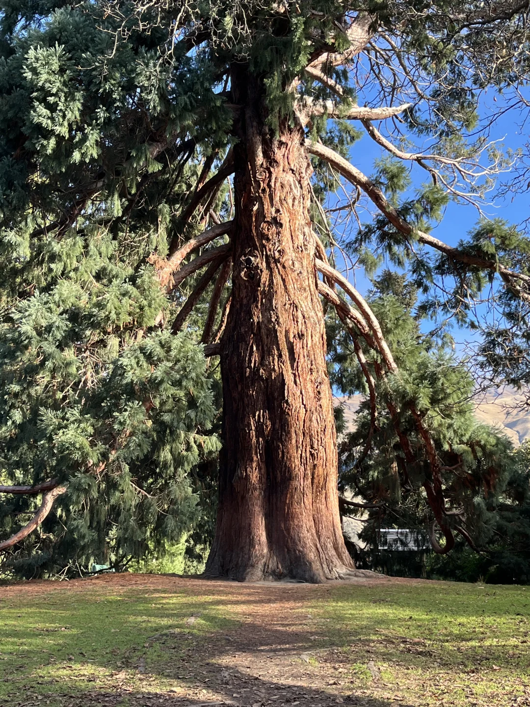 🇳🇿 新西兰8天7晚行程分享
