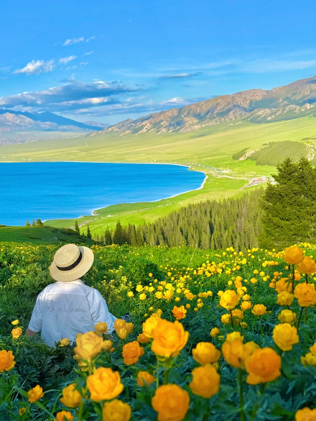 5.28实拍live🦢夏天的赛里木湖美到封神！！！