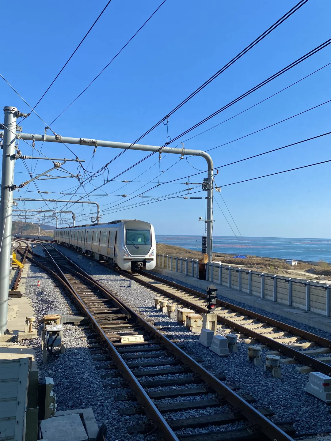 Live图！现在夏天的大连简直就是人间理想！🌊