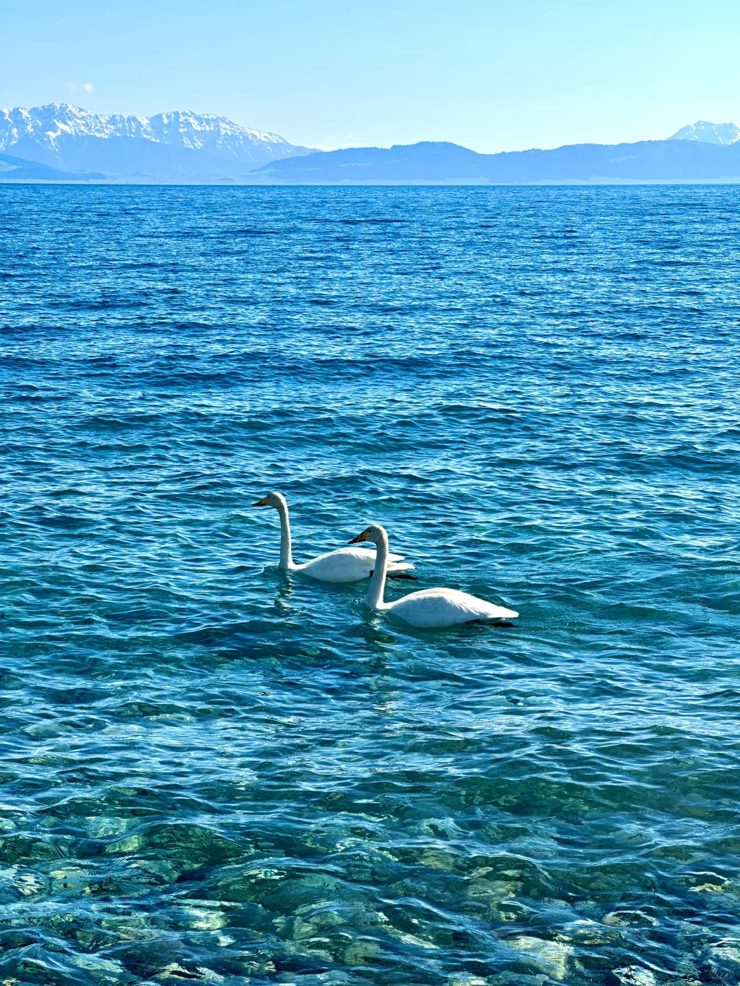 5.28实拍live🦢夏天的赛里木湖美到封神！！！