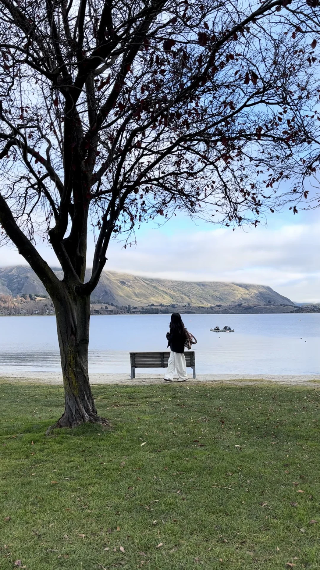 🇳🇿 新西兰8天7晚行程分享