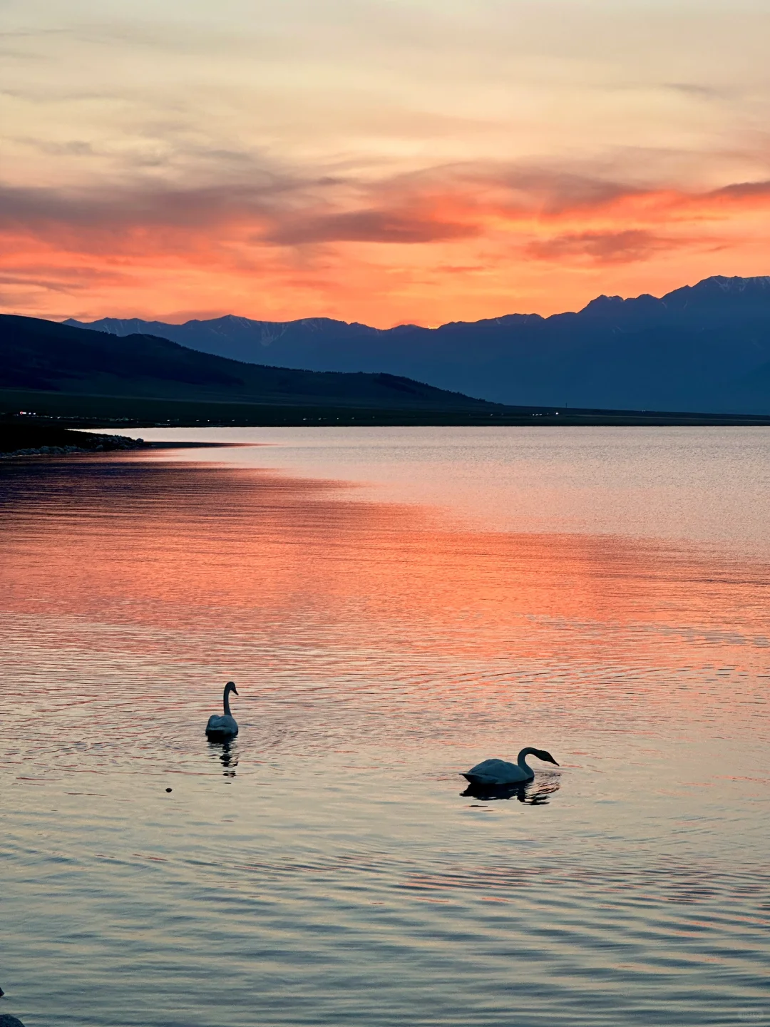 5.28实拍live🦢夏天的赛里木湖美到封神！！！