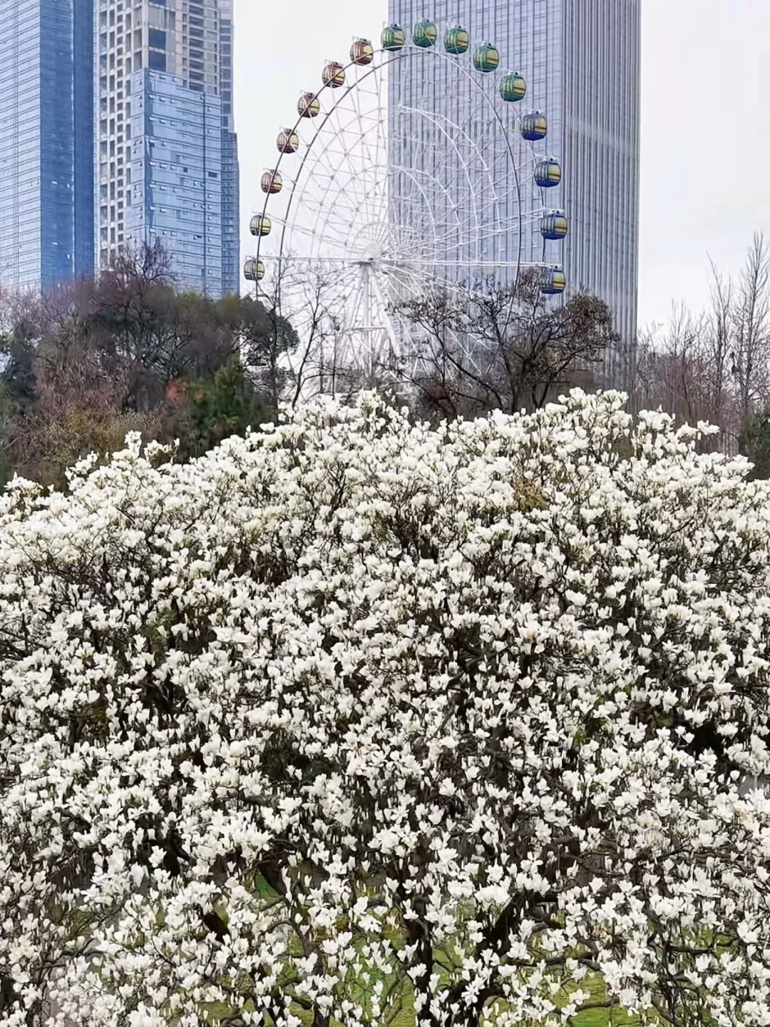 6.25｜贵阳回来了，能帮一个是一个😭