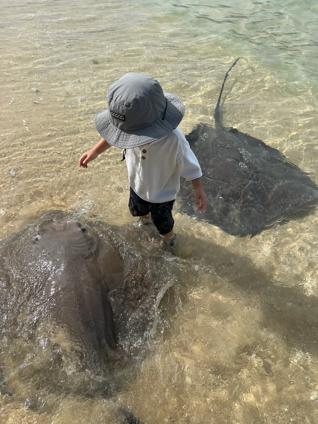 人生建议：带娃去陵水，一定要暑假去！！
