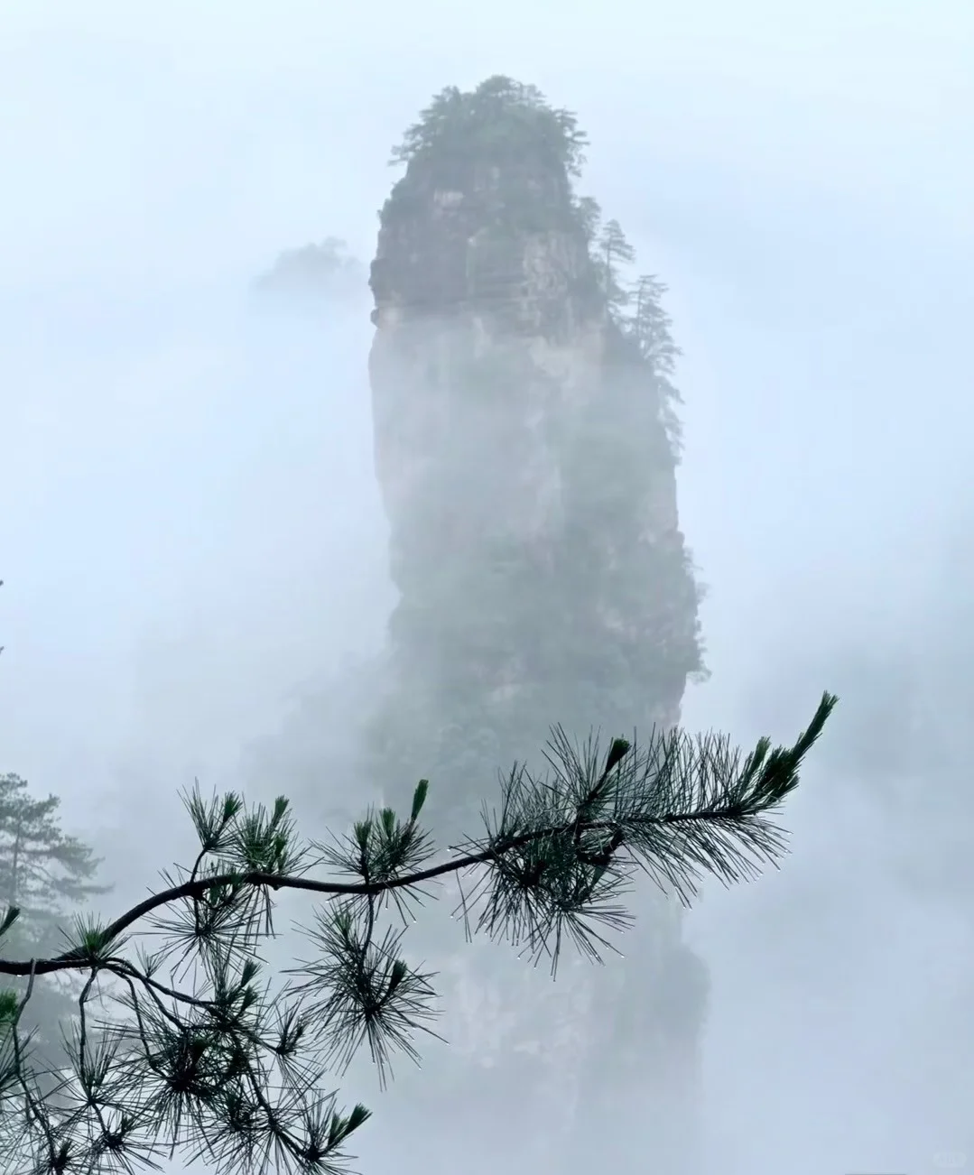 ✨张家界 | 一场奇幻的仙境之旅✨