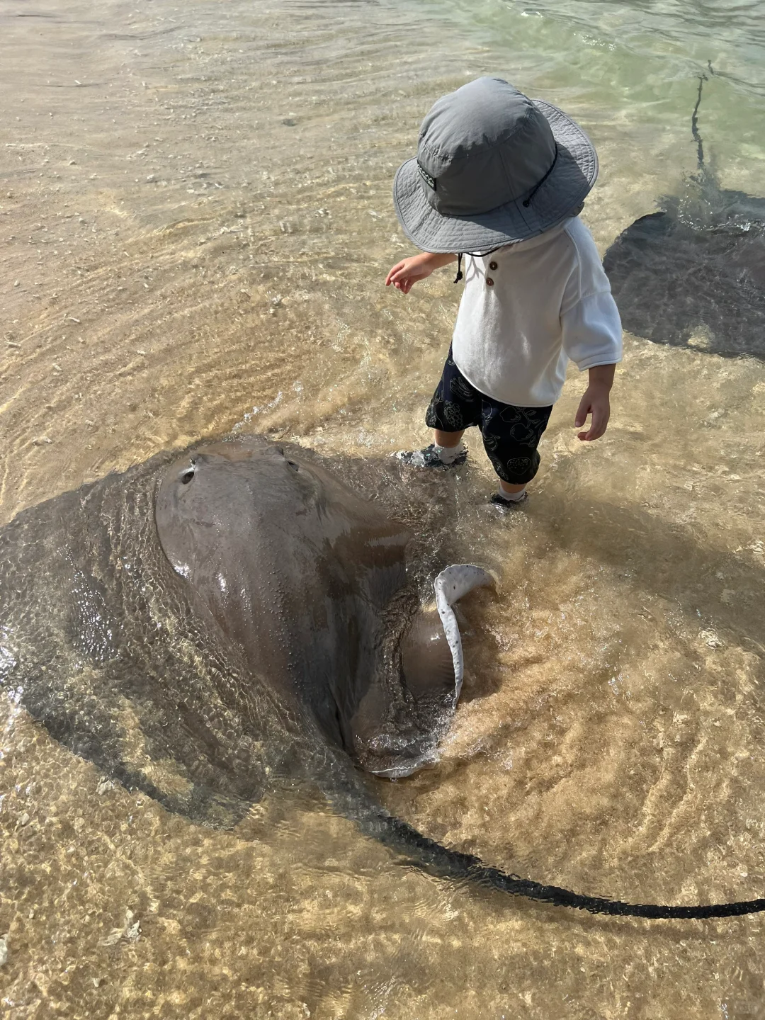 人生建议：带娃去陵水，一定要暑假去！！