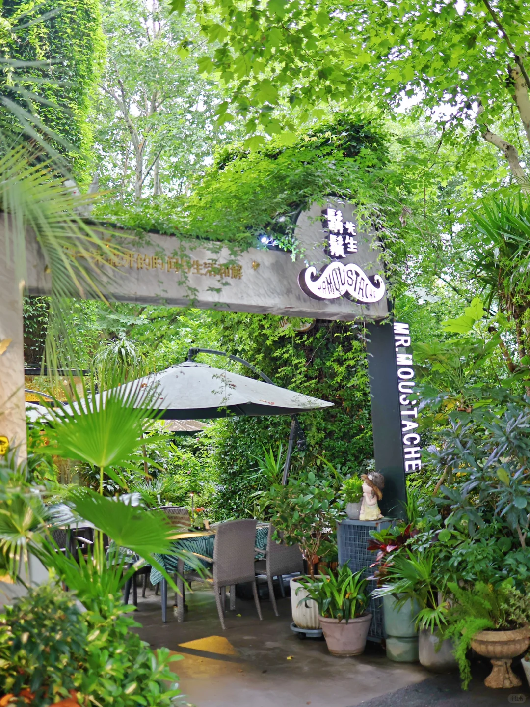 杭州旅游不能错过的citywalk路线‼️好拍又治