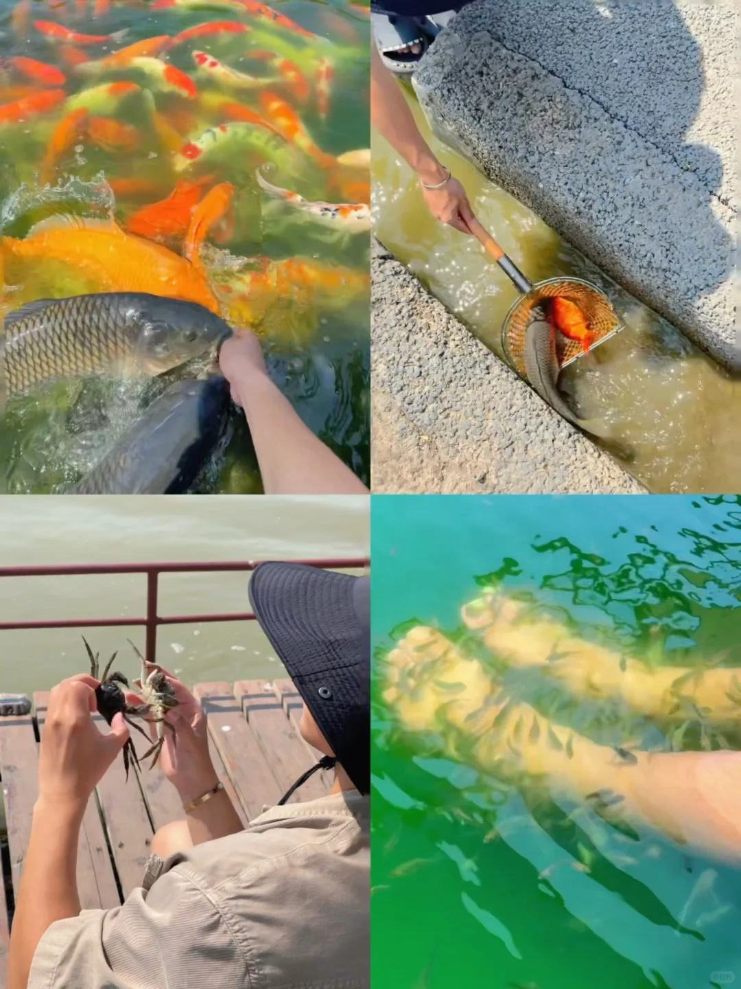 今年去过最冷门的小城，我真的好怕它火😭…