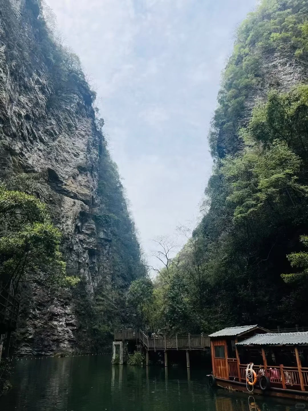 ✨张家界 | 一场奇幻的仙境之旅✨