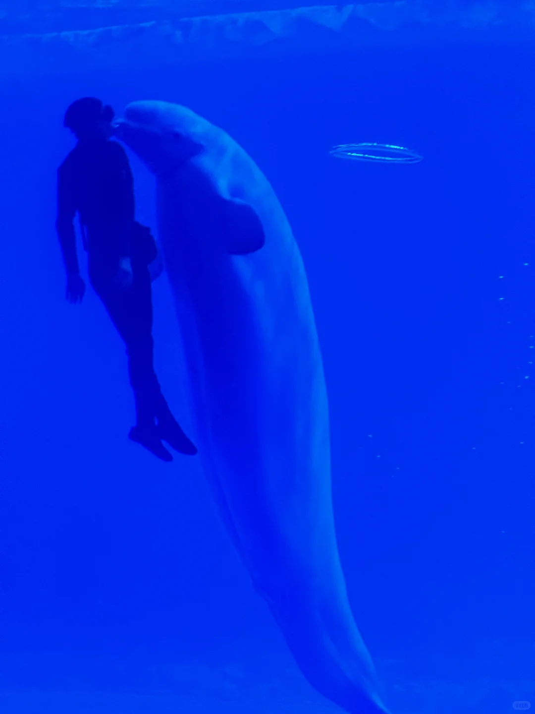 人生建议：带娃去陵水，一定要暑假去！！